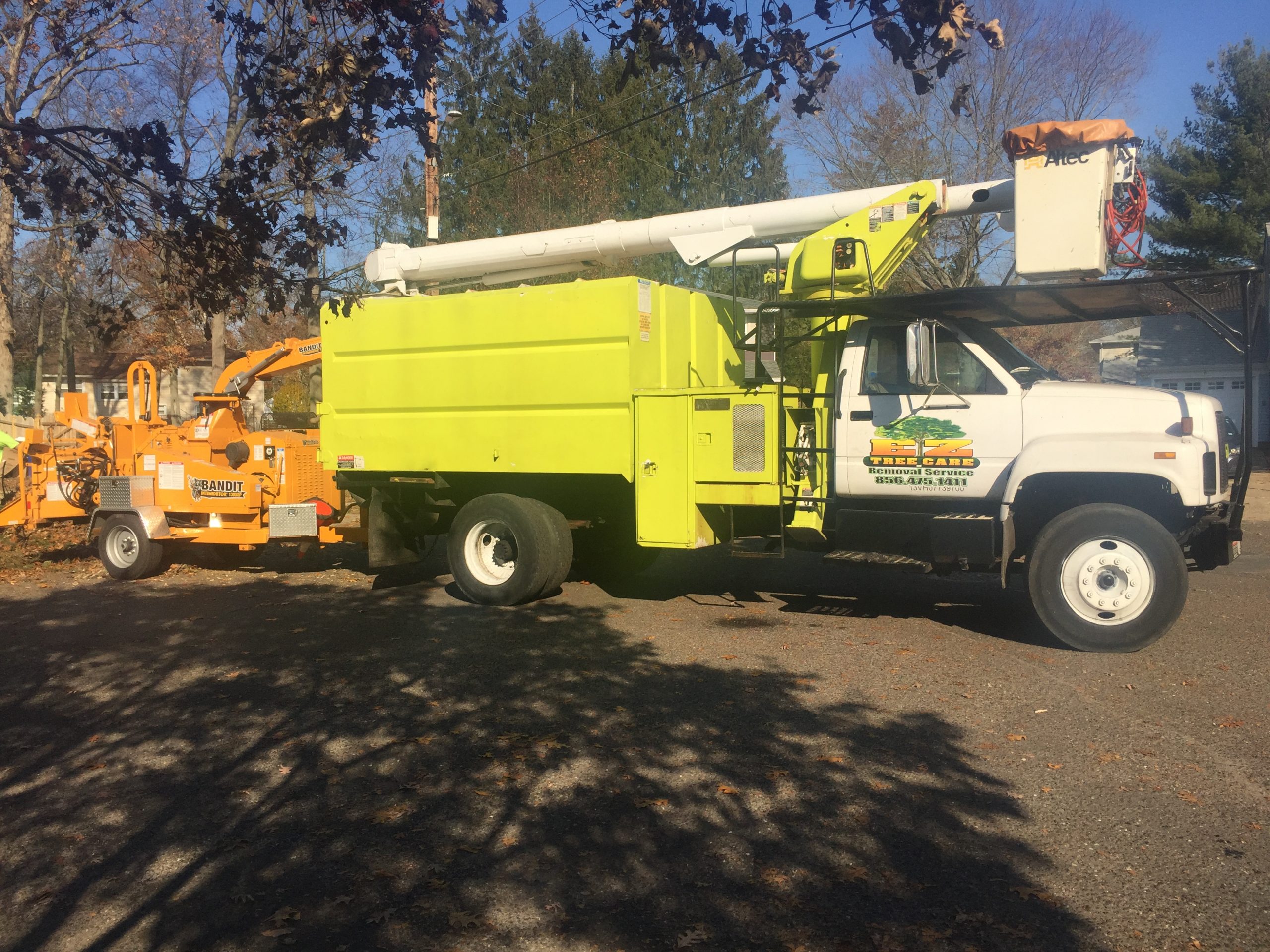 Tree Services South Jersey