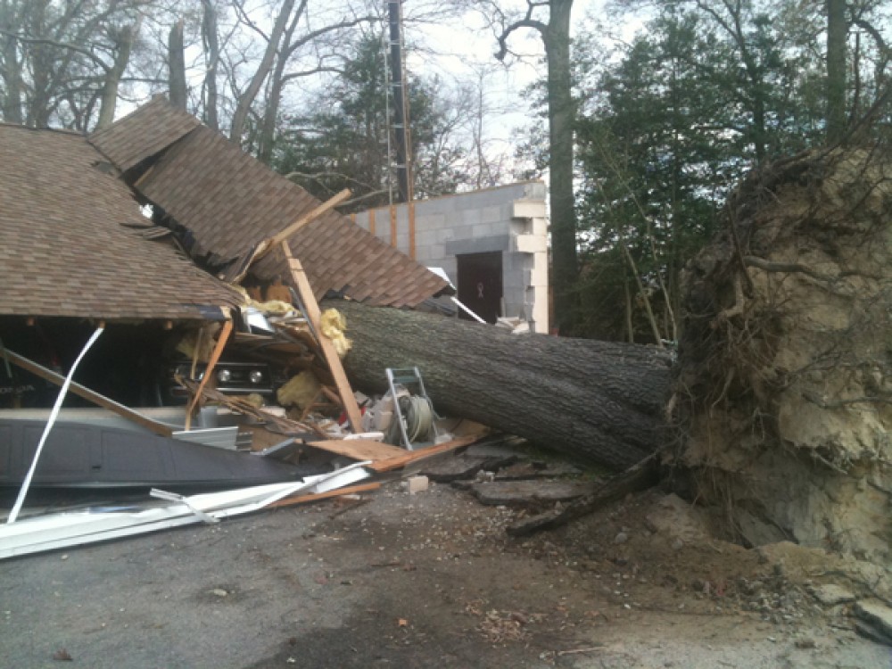 Emergency Tree Removal South Jersey