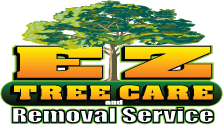 Tree Service South Jersey