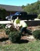 Full Service Tree Care in South Jersey